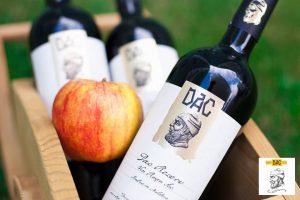 Moldavische wijnen van producent Vinaria DAC