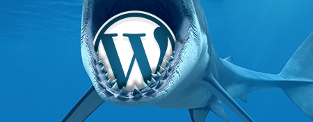 WordPress security plugins – The introduction