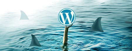 Securing WordPress from hackers