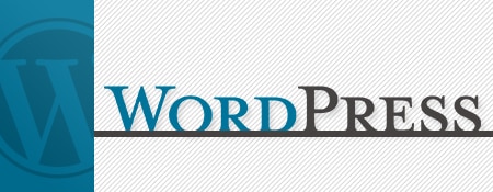 WordPress zakelijk gebruiken