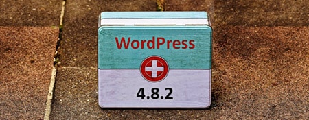 9 beveiligingsproblemen verholpen in WordPress 4.8.2