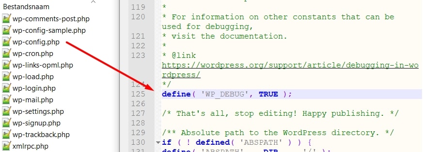 example wordpress debug mode