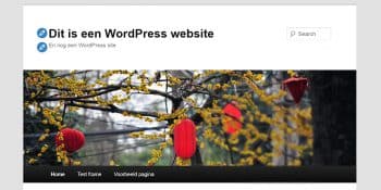 Wat is een WordPress thema?