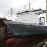 sal-svenja_web-at-sietas-shipyard