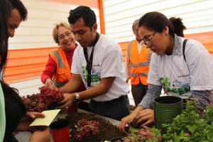150921 APM Terminals Callao Peru staff with tree planting project